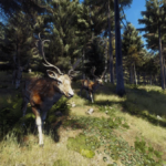 wildness